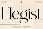 Elegist, a Sans Serif Font by Nathatype (Thumbnail 1 of 10)