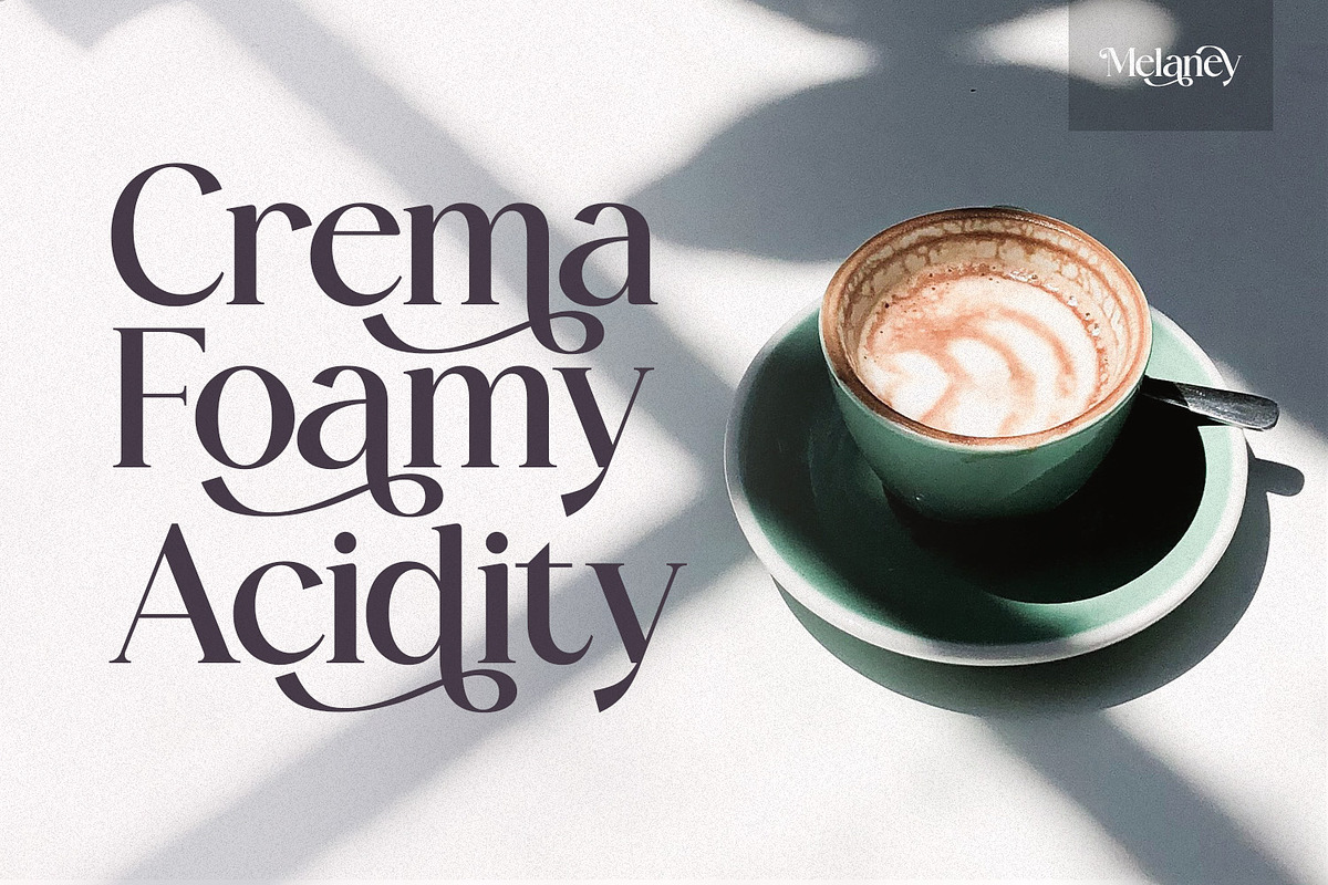 Melaney - Aesthetic Branding Serif, a Serif Font by Variatype (Photo 5 of 10)