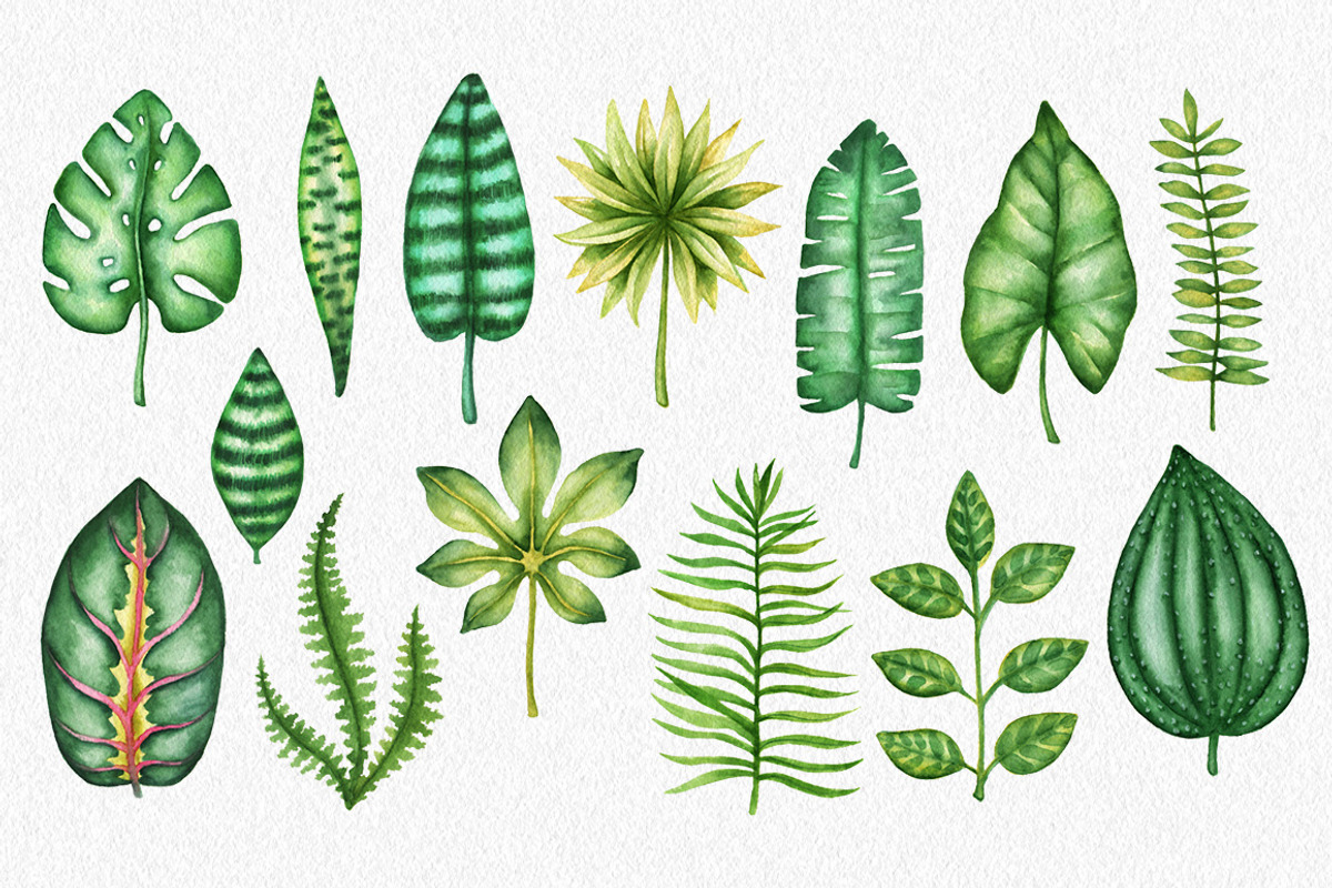 Watercolor Tropical Leaves, a Decorative Illustration by Chelovector (Photo 2 of 5)