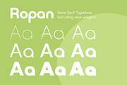 Ropan Font Family, a Sans Serif Font by Larin Type Co. (Thumbnail 3 of 10)