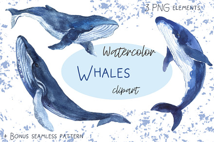 Watercolor whale Clipart Ocean whale