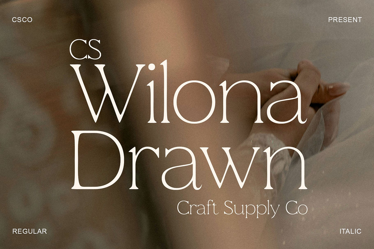 CS Wilona Drawn, a Serif Font by Craft Supply Co. (Photo 1 of 8)