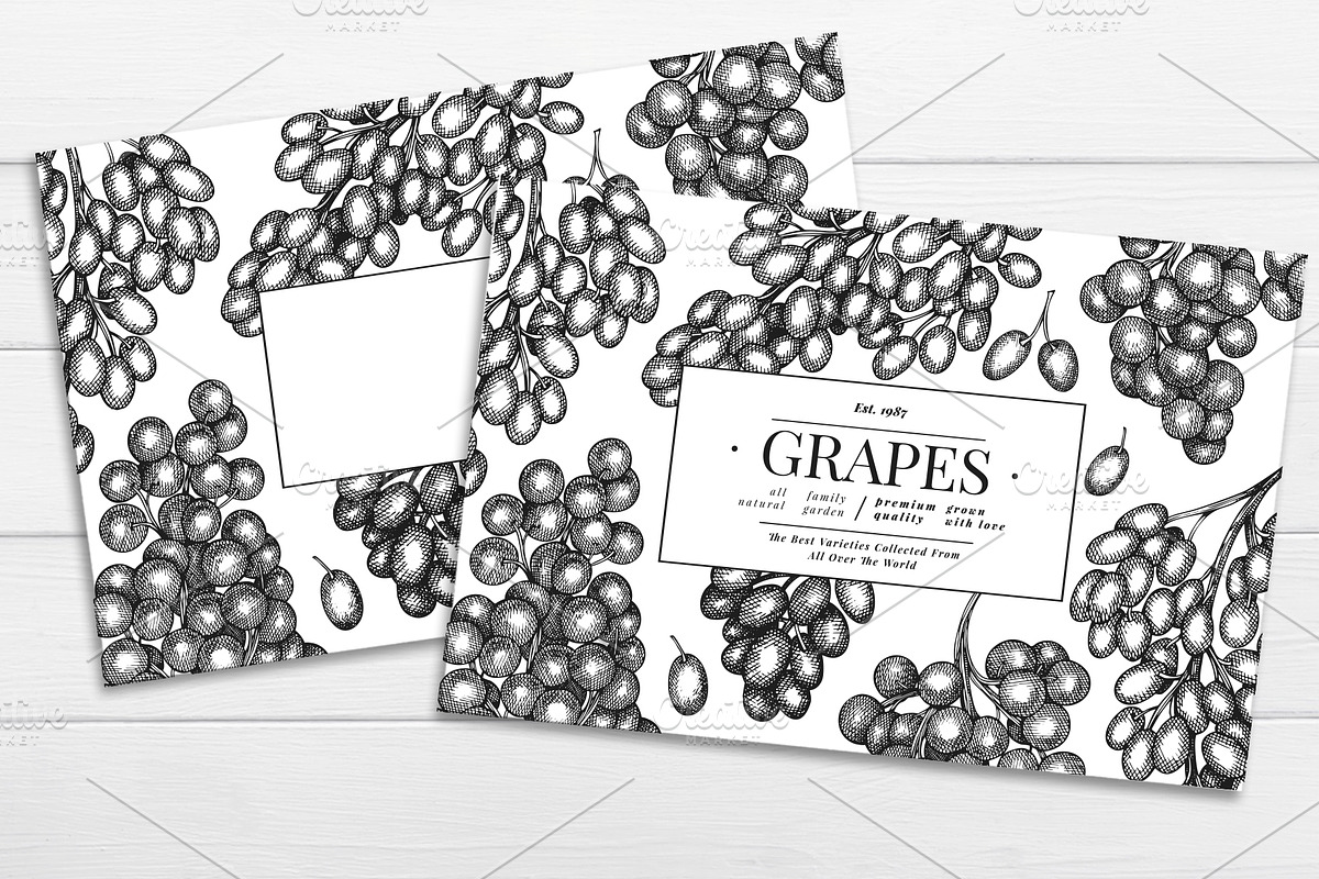 Grape Vector Collection, a Decorative Illustration by Lubov Illustrations Shop (Photo 4 of 5)