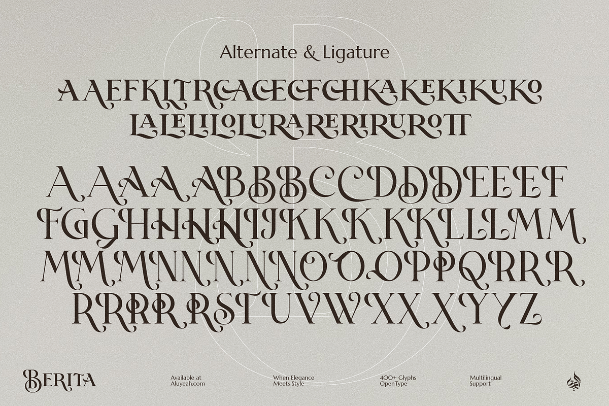 Berita, a Serif Font by Aluyeah Studio (Photo 15 of 15)