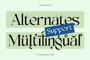 AO Dreya - Stylish Serif Font, a Serif Font by OwunStudio (Thumbnail 5 of 15)