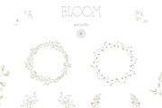 BLOOM Watercolor floral collection, a Decorative Illustration by Kreker Kate (Thumbnail 4 of 9)