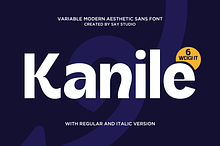 Kanile - Family Aesthetic Sans Font