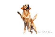 Watercolor Golden Retriever Clipart, an Animal Illustration by New-School-Wave (Thumbnail 2 of 5)