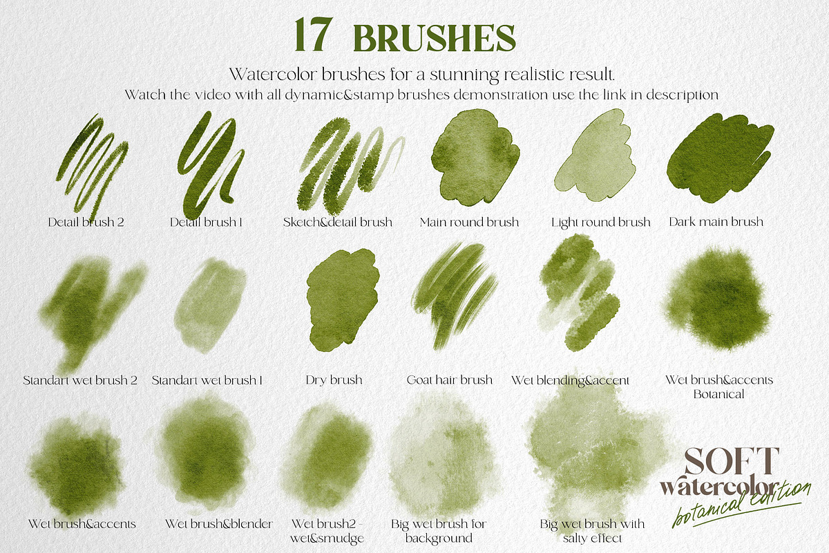 Watercolor Procreate brushes Botany, a Brush Add-On by Yuliya Derbisheva (Photo 4 of 13)