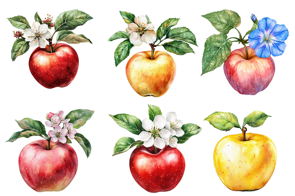 Watercolor Apples Floral Clipart, an Illustration by Designworld (Photo 3 of 6)