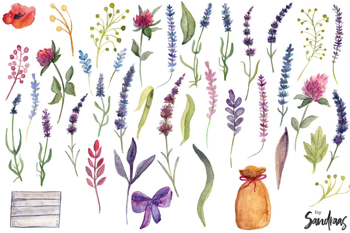 Watercolor lavender clip art, an Illustration by SandraGraphicDesign (Photo 4 of 5)
