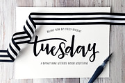 Tuesday Script, a Script Font by Every Tuesday (Thumbnail 1 of 8)