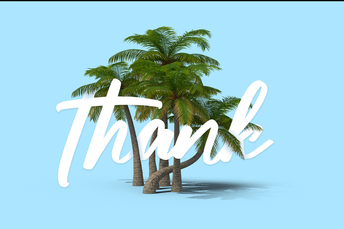 Salty Bash Tropical Script, a Script Font by Designsation (Photo 10 of 10)