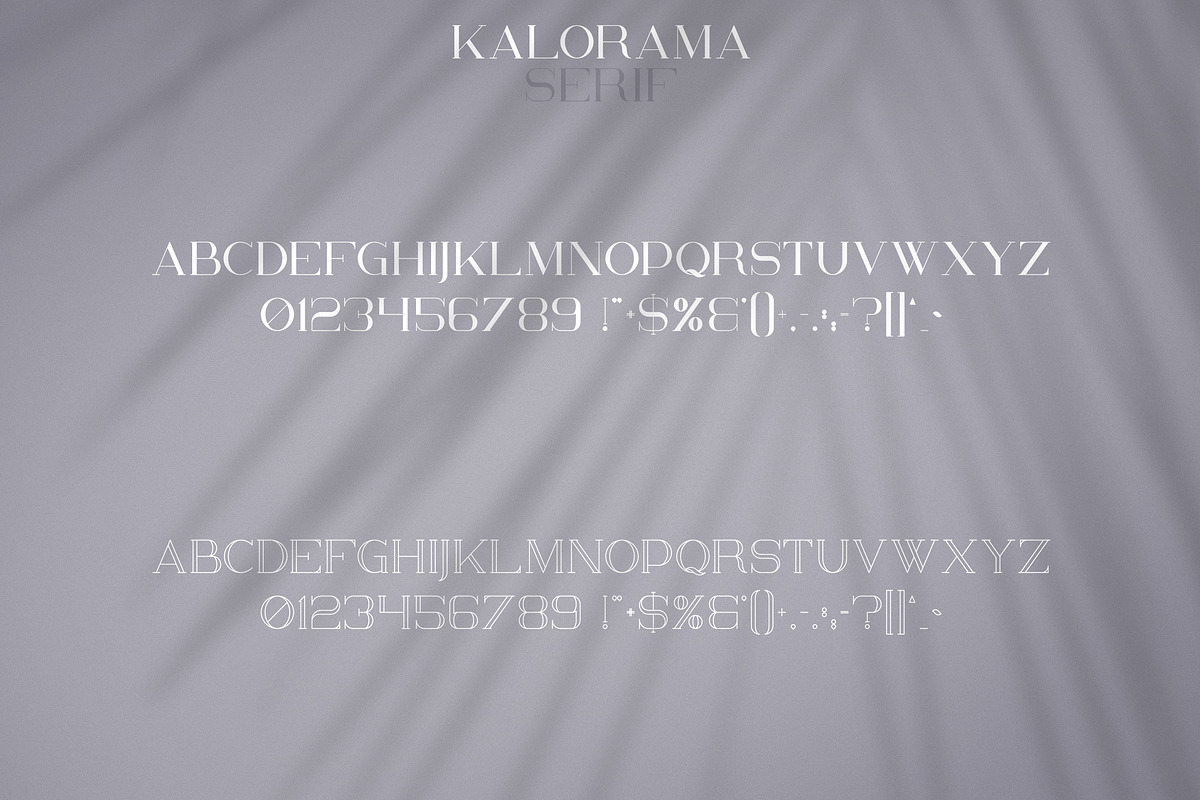 Kalorama - Font duo preview 8