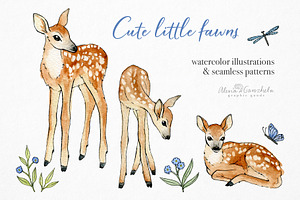 Baby Deer Watercolor Illustrations