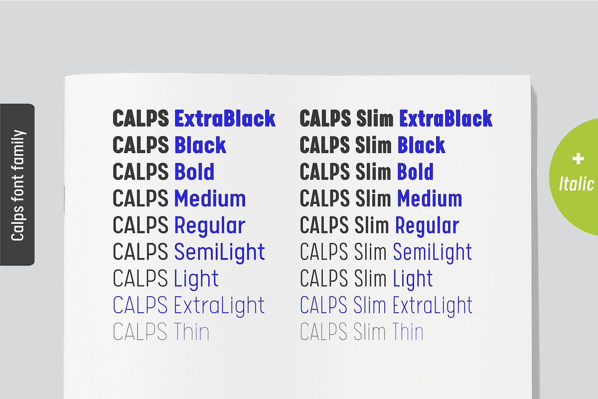 Calps Family, a Sans Serif Font by Typesketchbook Foundry (Photo 4 of 8)
