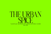 Replica - Elegant & Modern Serif, a Serif Font by subkulturetype (Thumbnail 8 of 11)