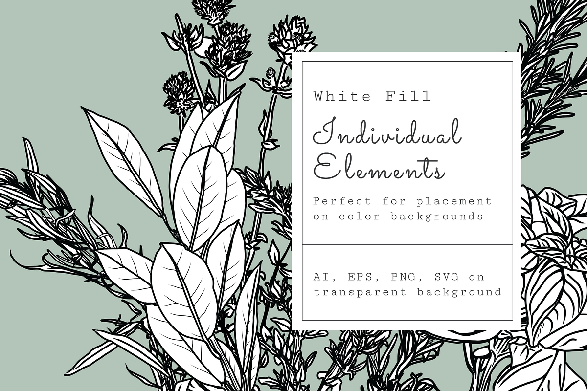 Fresh Herbs Line Drawings & Patterns, an Illustration by kittyShark Creative (Photo 5 of 9)