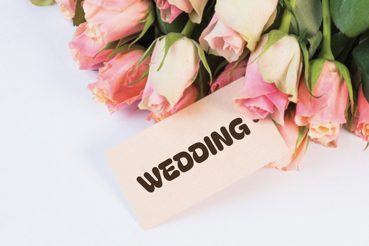 Brides Wedding, a Script Font by FreshTypeINK (Photo 4 of 7)