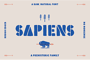 Sapiens Font Family, a Sans Serif Font by Hemphill Co (Thumbnail 1 of 13)