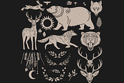 Wild forest. Vector collection, an Animal Illustration by Nadia Murash (Thumbnail 3 of 7)