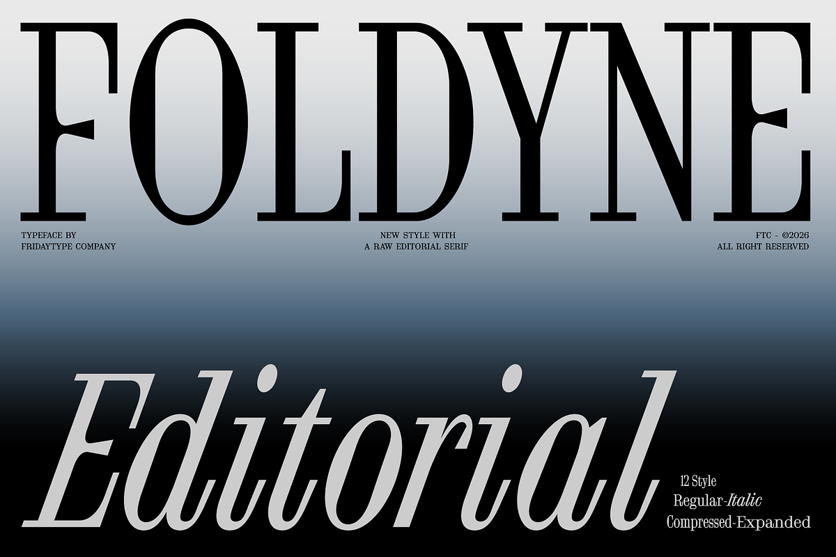 FTC Foldyne, a Serif Font by Fridaytype (Photo 1 of 12)