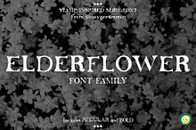 Elderflower Serif Font