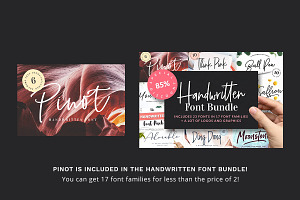 Pinot Handwritten Font & Logos