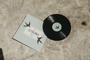 Swallows - vintage illustrations, an Animal Illustration by AI Crafted Magnolia (Thumbnail 4 of 13)