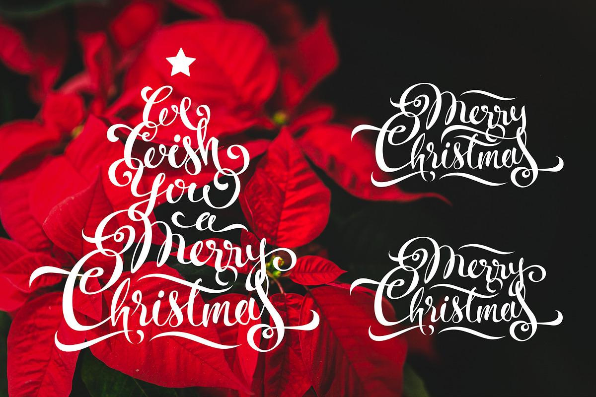 Merry Christmas Calligraphy, a Decorative Illustration by Margo Miller (Photo 11 of 24)