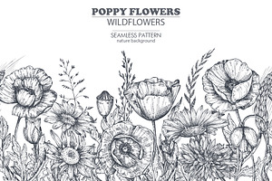 Vector Poppy Flowers Set