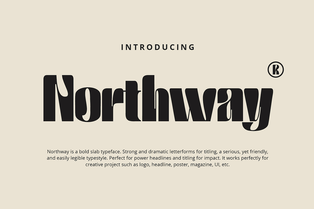 Northway, a Sans Serif Font by Damelev (Photo 1 of 14)