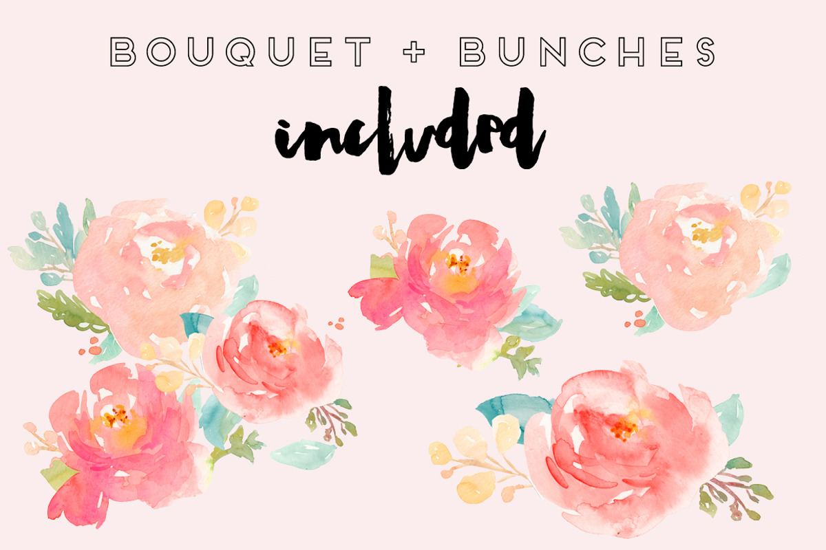 Peonies Fanfare- Watercolor Clip Art, an Illustration by Angie Makes (Photo 3 of 3)
