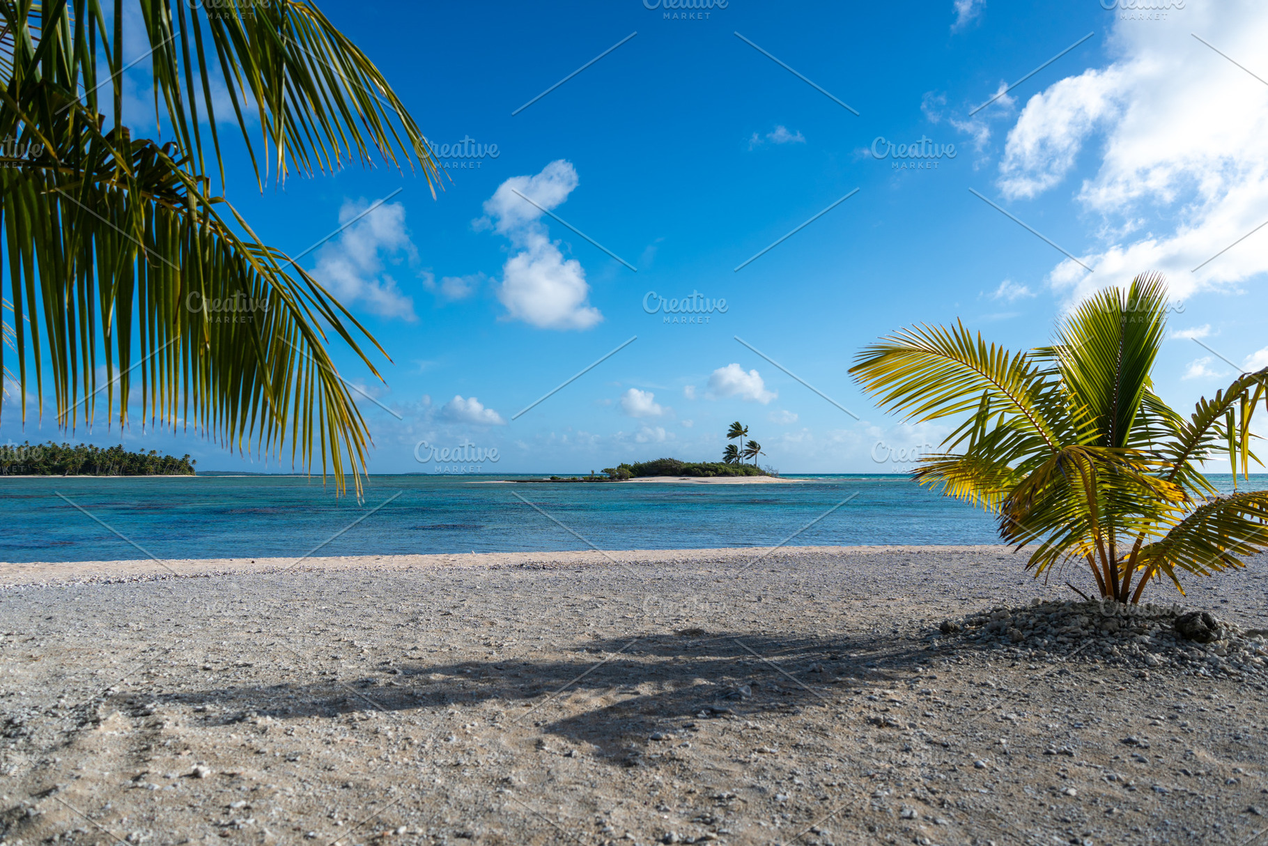 Tropical motus in Tikehau, French Polynesia, with clear lagoon w, a Photo by GoodGoods
