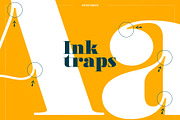 XXII Elissa, a Serif Font by Doubletwo Studios (Thumbnail 19 of 25)