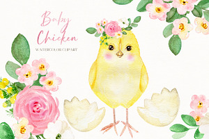 Baby Chicken. Watercolor Clipart