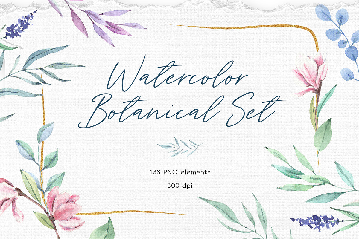 Watercolor Botanical Set, an Illustration by SOVA (Photo 1 of 7)