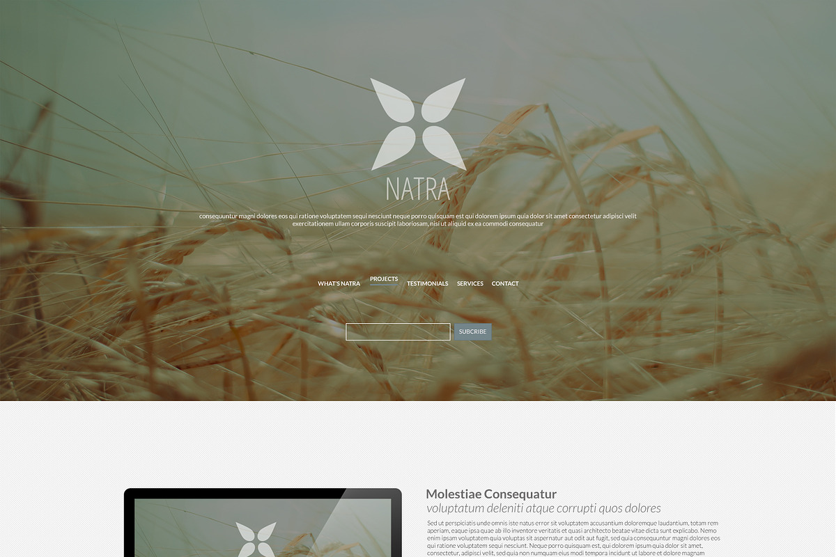 Multipurpose One-Page PSD Template, a Landing Page Template by Dqa (Photo 1 of 3)