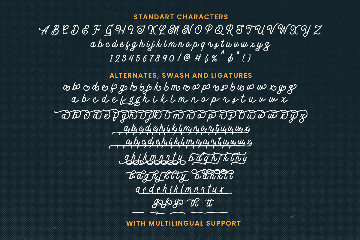 The Vaguer - Modern Monoline Font, a Script Font by Rillatype (Photo 10 of 10)