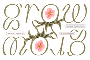 Silkrose - Delicate Display Font, a Sans Serif Font by Artflorara (Thumbnail 3 of 14)