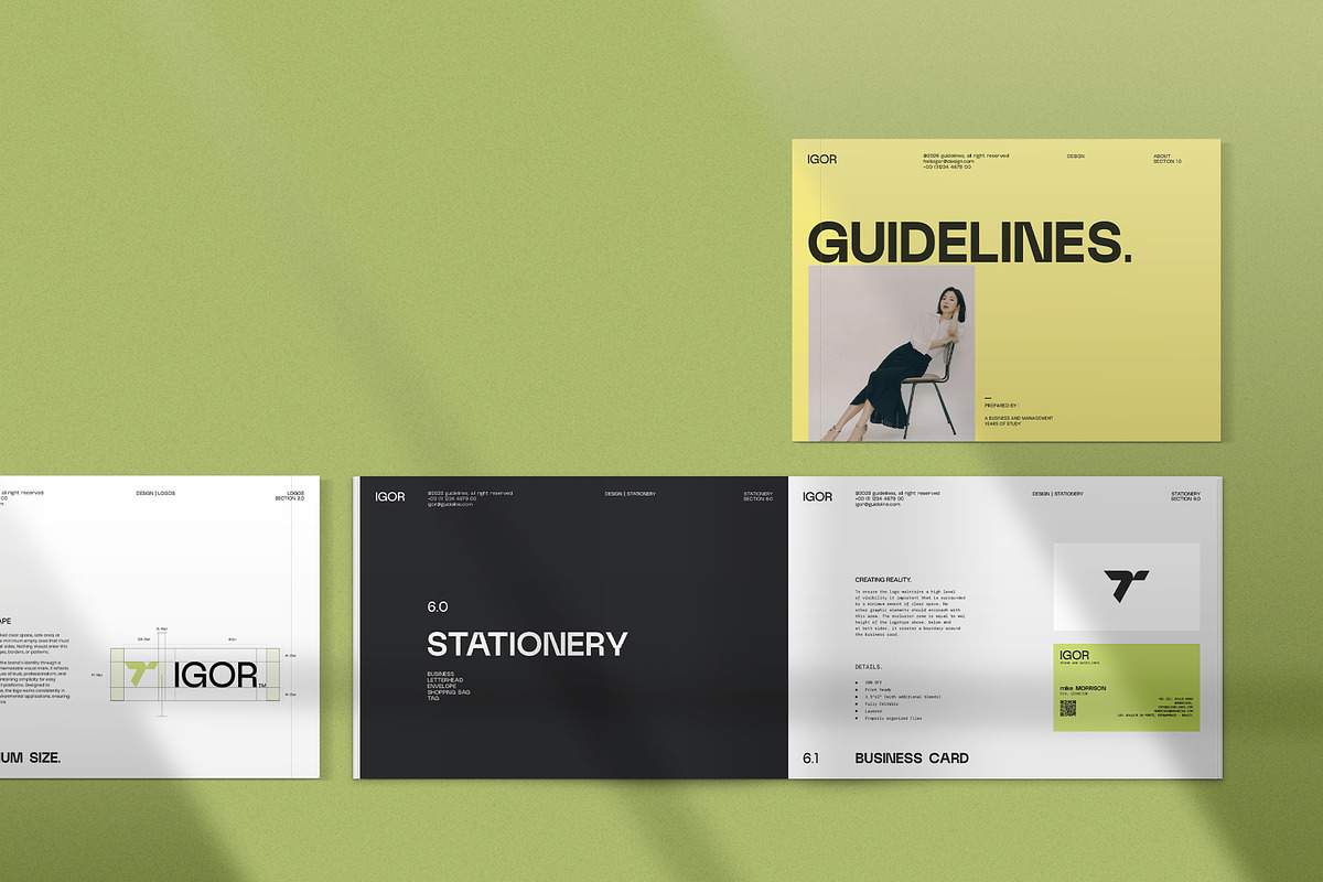 iGOR | Brand Guidelines, a Branding & Logo Template by creathrivestudio (Photo 7 of 11)