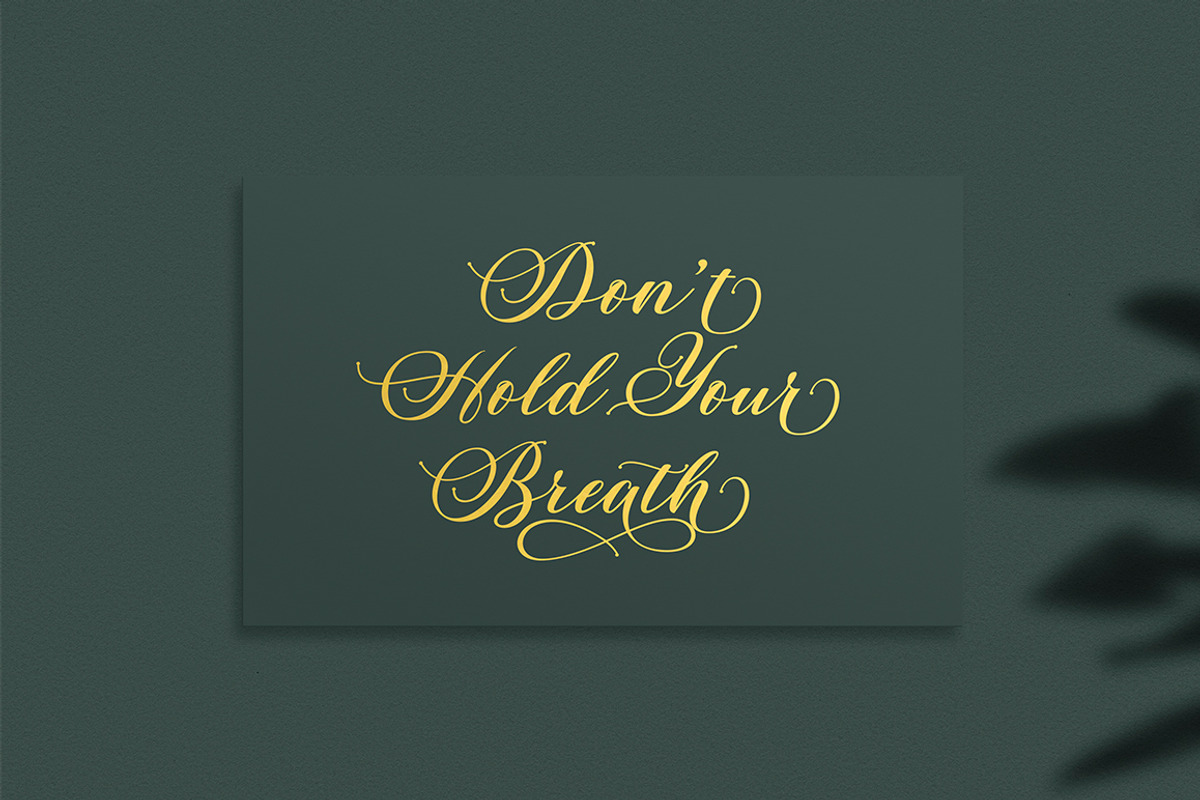 Auriga, a Script Font by Typehill (Photo 3 of 12)