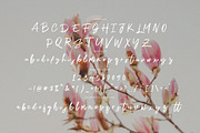 Hafine - Casual Brush, a Handwritten Font by tebaltipislab (Thumbnail 6 of 10)