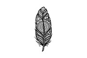 Ornamental Feather SVG Bundle, an Illustration by yasushie (Thumbnail 20 of 31)