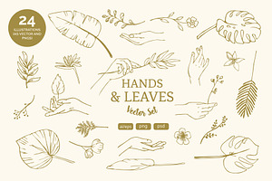 Hands, Leaves Vector Illustrations