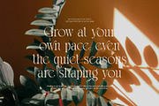 Thomy Elegant Serif Font, a Serif Font by Graphicxell (Thumbnail 5 of 8)