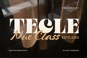 Tecle - Font Duo Typeface, a Serif Font by MaikoHatta (Thumbnail 1 of 8)