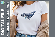 Whale Illustration Bundle, 20 PNG, an Animal Illustration by Enliven Designs (Thumbnail 8 of 8)