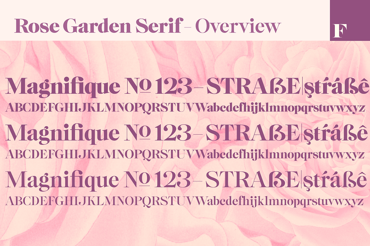 Rose Garden Deluxe Font Bundle, a Serif Font by Fenotype (Photo 13 of 14)