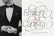 Amilent | 36 Style Font, a Serif Font by IM Studio (Thumbnail 3 of 13)